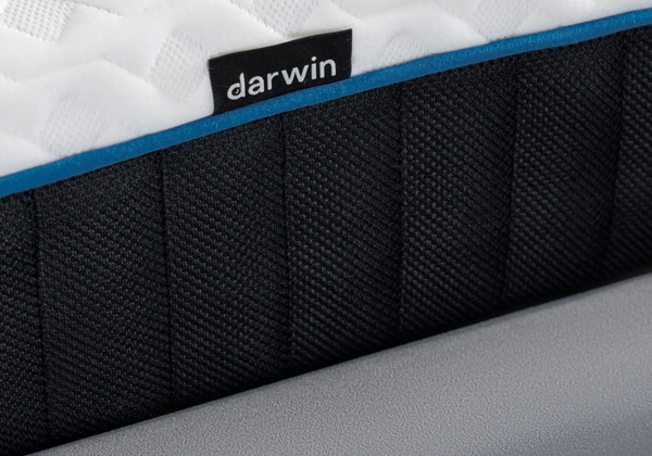 Матрас darwin Evo Spring