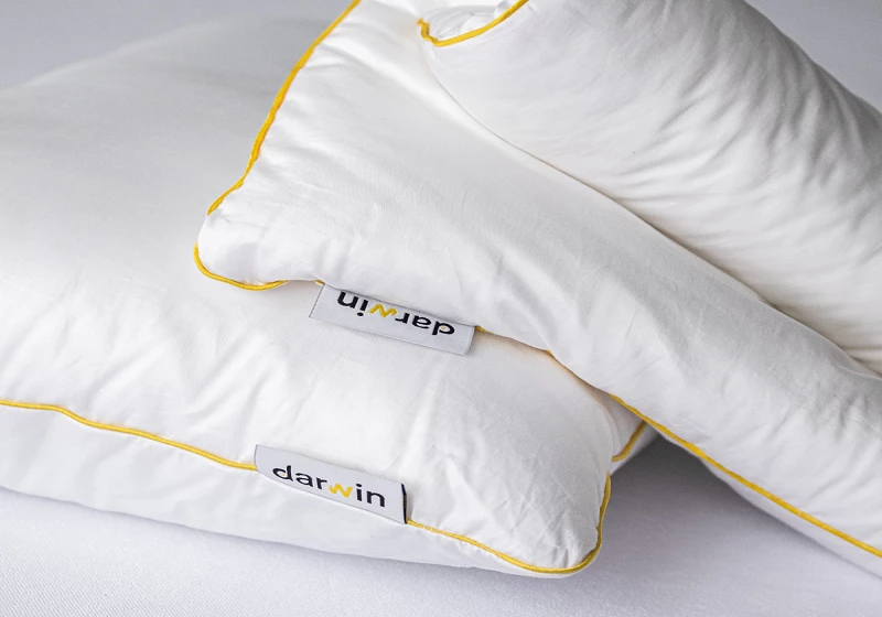 Подушка Darwin Air 2.0