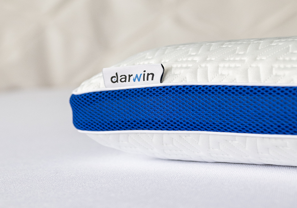 Подушка Darwin Evo 3.0