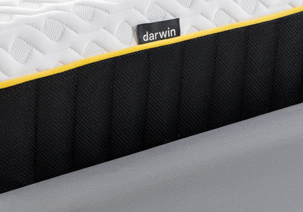 Матрас darwin Air Spring