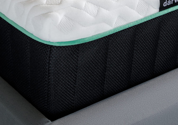 Матрас darwin Orto Spring