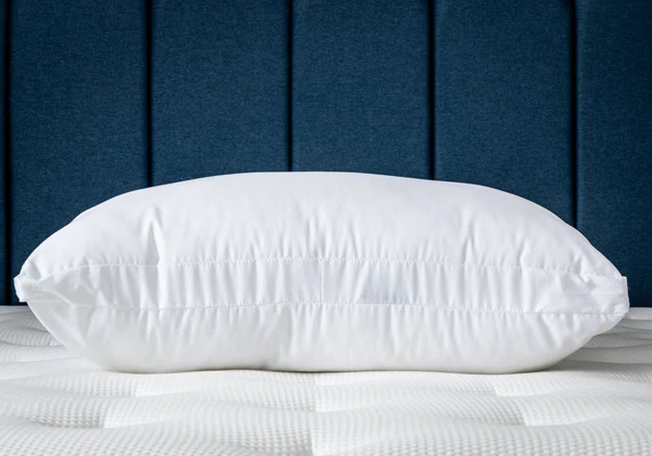 Подушка ProSon Terra Duo