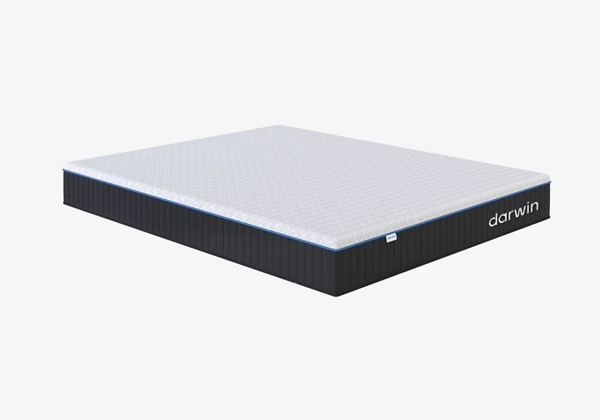 Матрас darwin Evo Spring