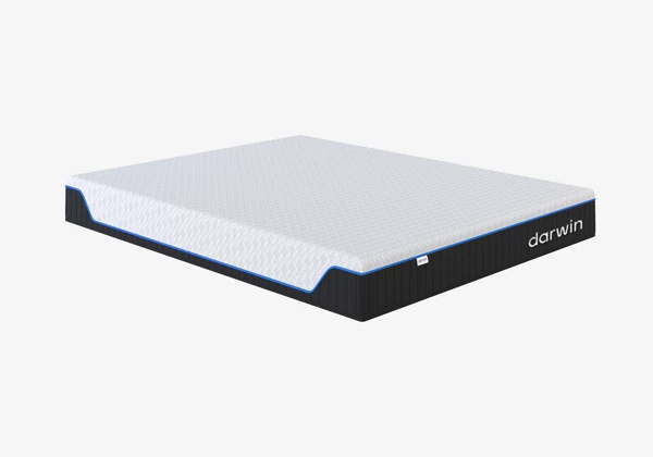 Матрас darwin Evo Foam