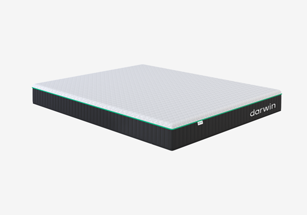 Матрас darwin Orto Spring