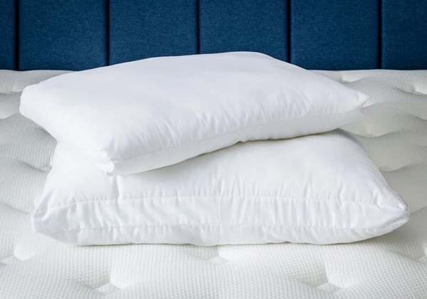 Подушка ProSon Terra Duo