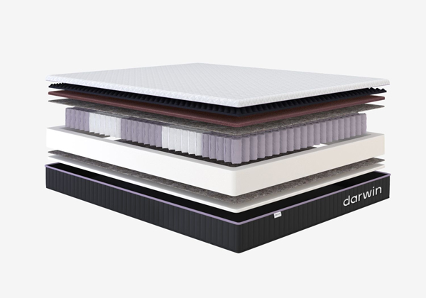 Матрас darwin Life Spring