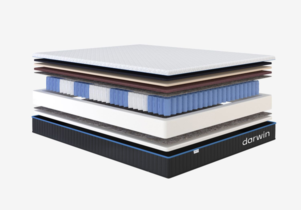 Матрас darwin Evo Spring