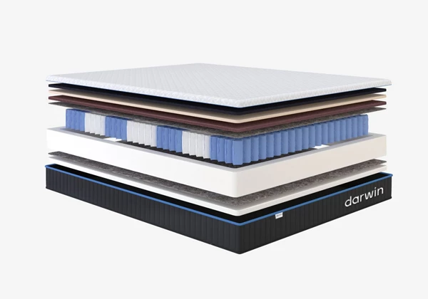 Матрас darwin Evo Spring