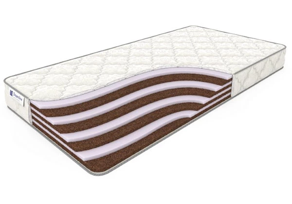 Детский матрас Dreamline Junior Springless